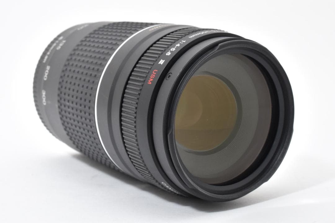 ★極美品★キヤノン EF 75-300mmf4-5.6 iii USM#1513