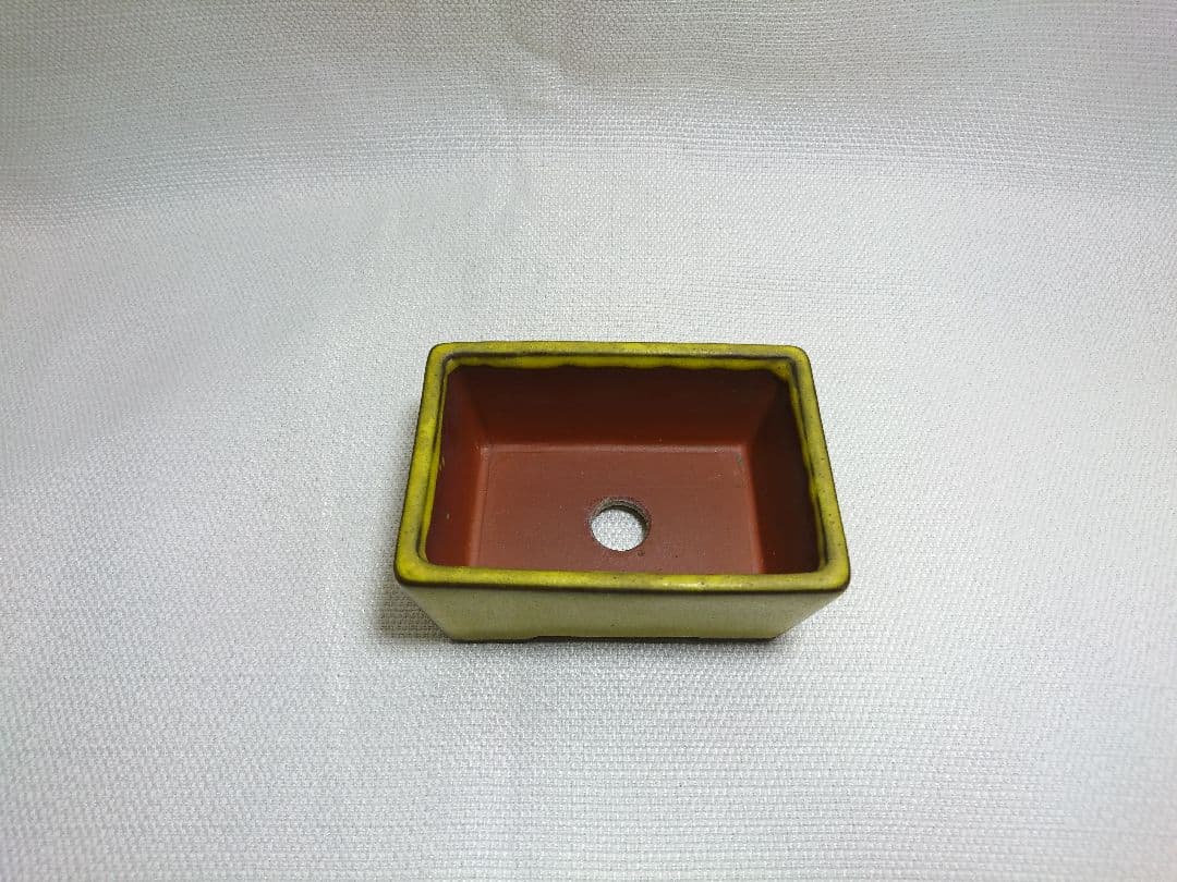 39 盆栽鉢 長方形小鉢★落款入　黄色　趣のある一品