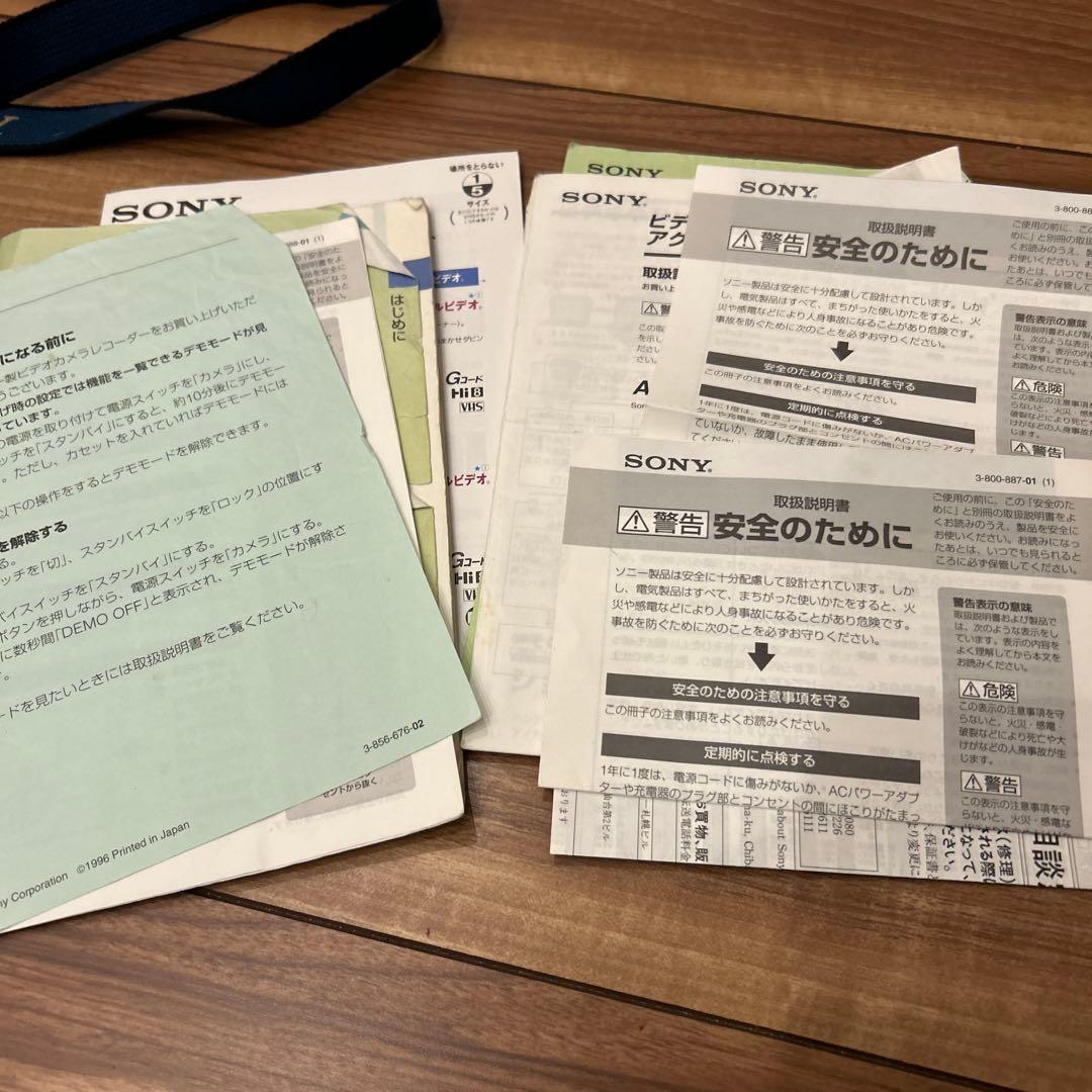 Sony Handycam ビデオカメラ本体