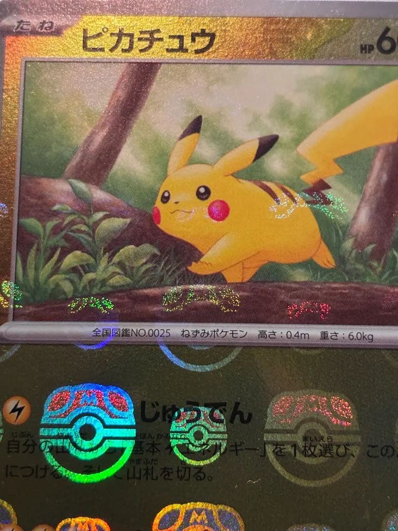 マスボピカチュウ