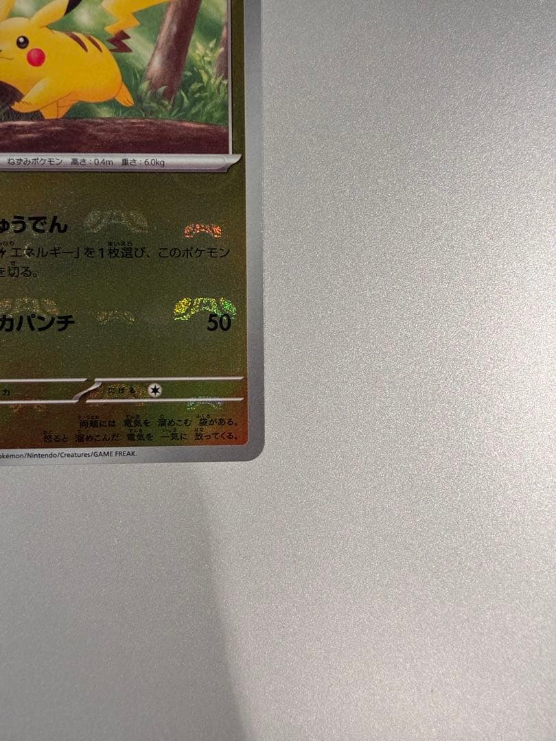 マスボピカチュウ