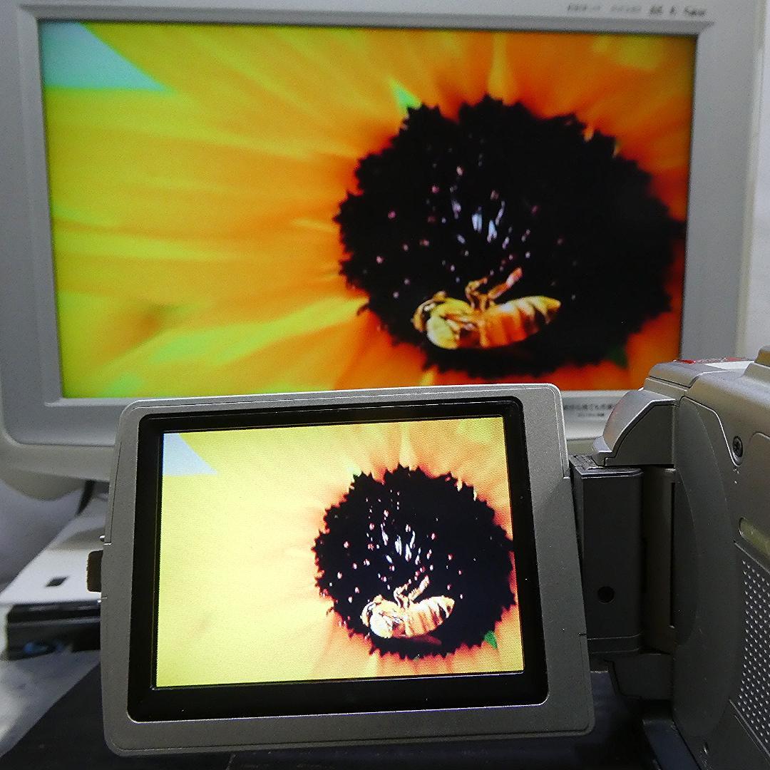 動作品ソニー DCR-TRV50 MiniDVビデオカメラ　DVDダビングに最適