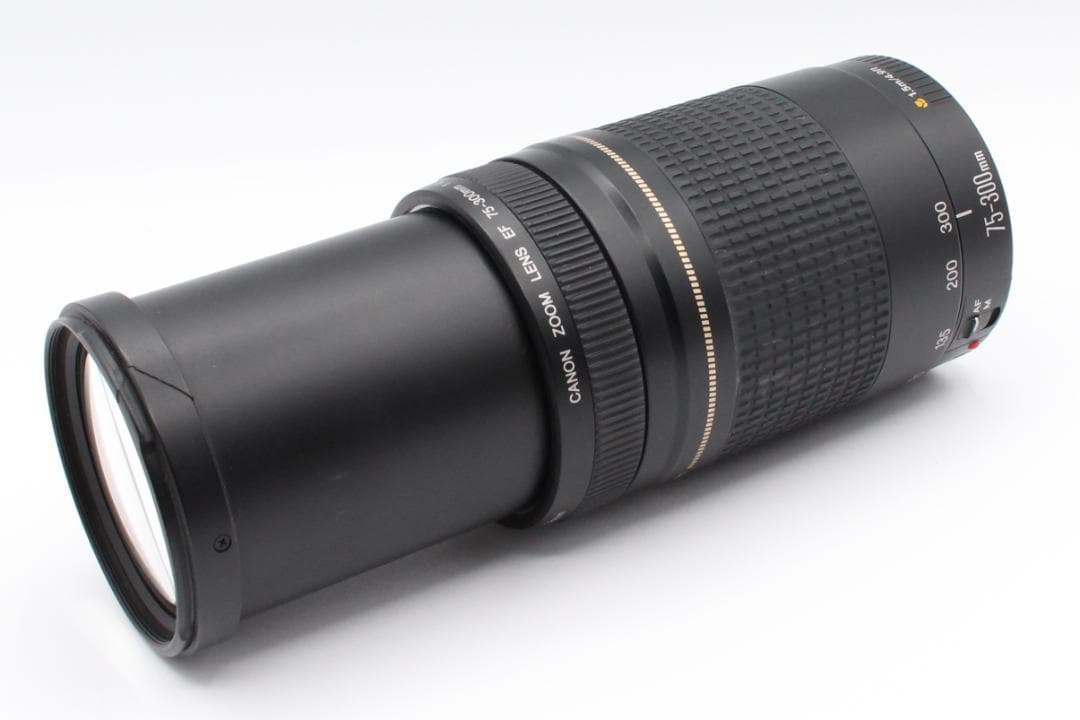 Canon EF 75-300mm F5.6 Ⅱ　定番望遠レンズ　即納OK