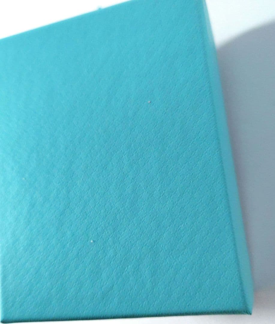 極美品❤️現行品❤️Tiffany空箱 巾着袋 ショップ袋 カードリボン✖️20