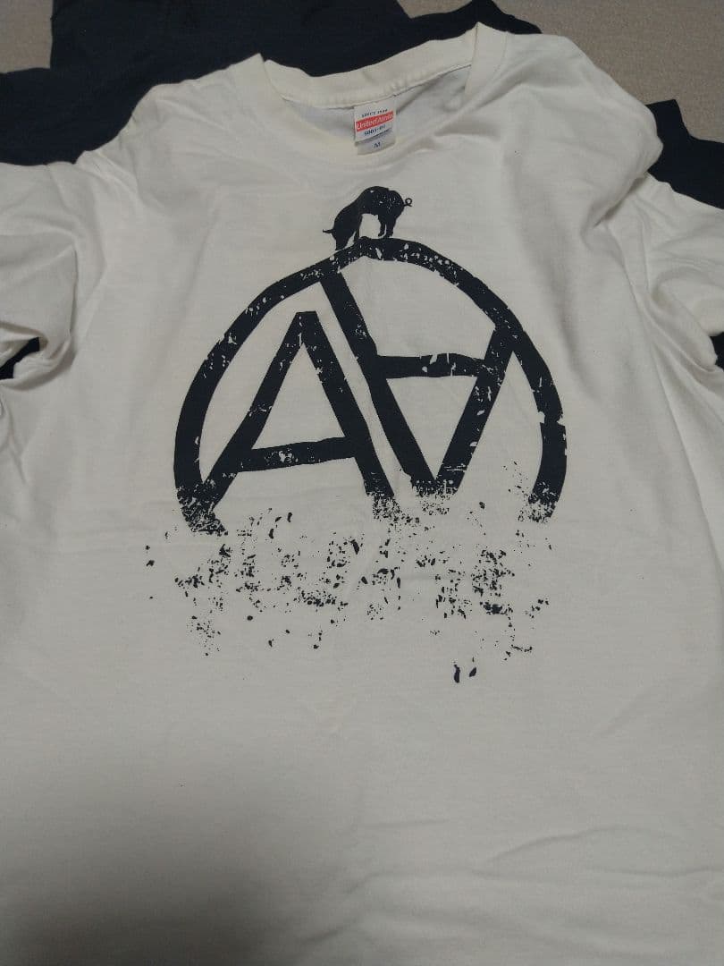 BLARE ブレアフェス coldrain パーカー Tシャツ コーチジャケット