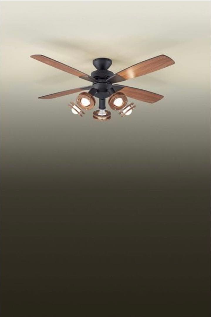 大光電機(DAIKO) LED シーリングファン ASL-513