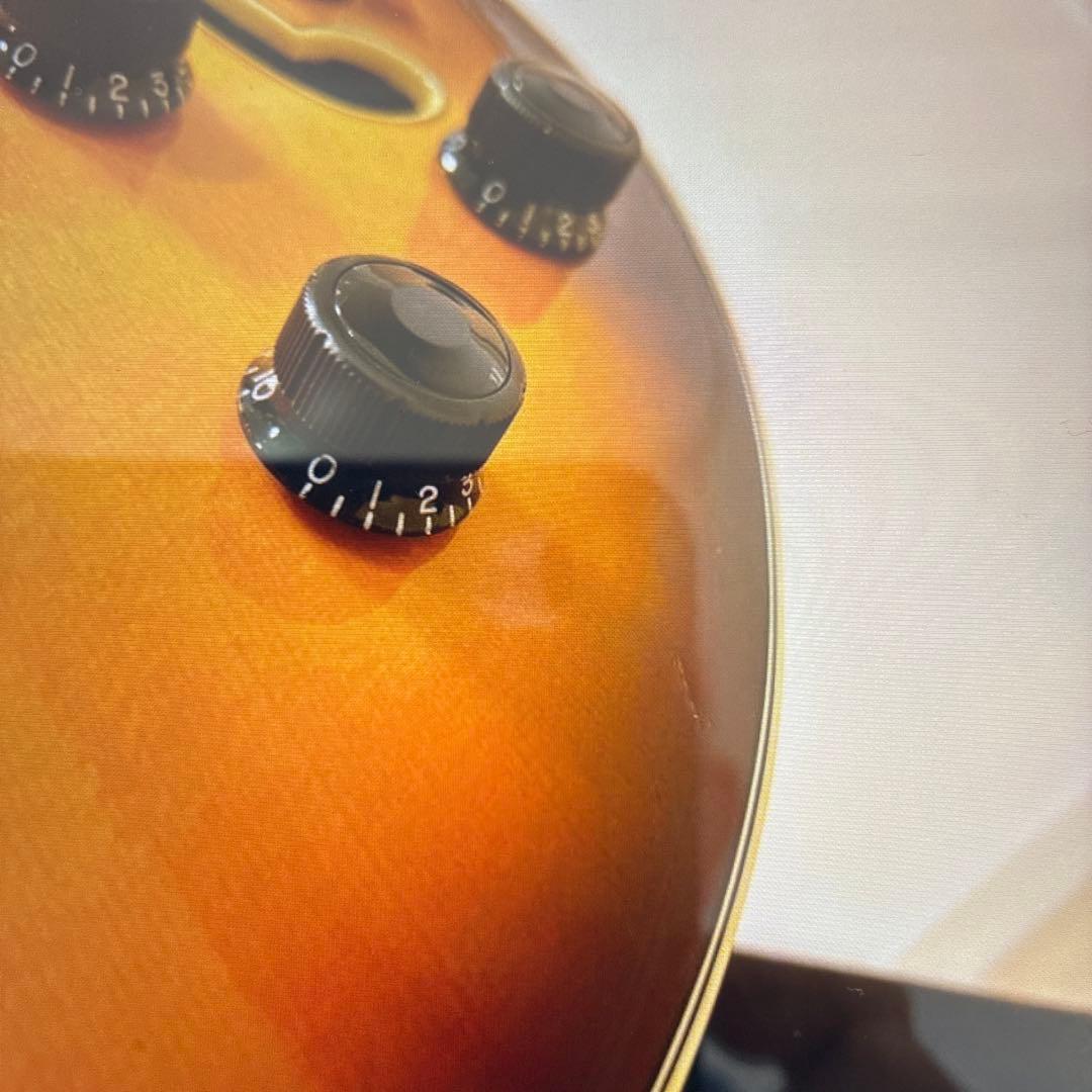 Ibanez フルアコ　AF105-RAF 美品　専用ハードケース付き。