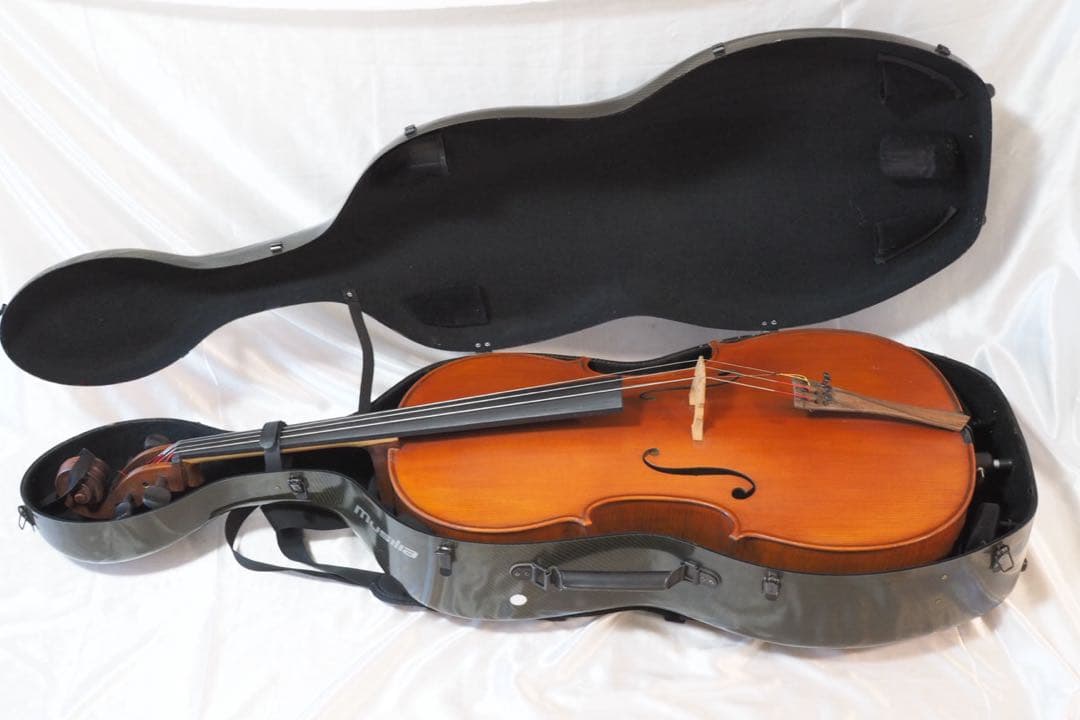 Gliga チェロ グリガ ムジリア Musilia 高級 ハードケース