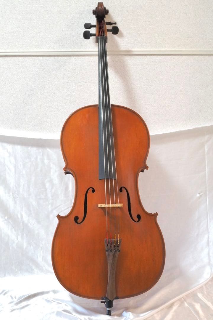 Gliga チェロ グリガ ムジリア Musilia 高級 ハードケース