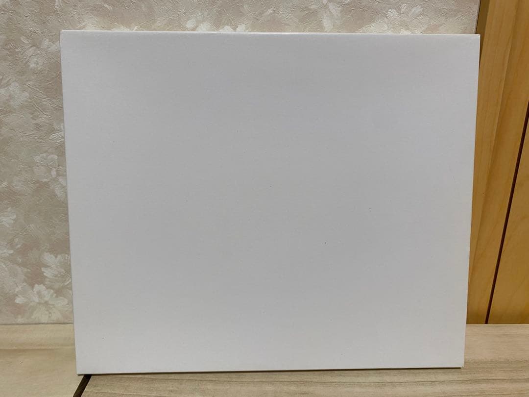 ポケモン コレクタブルアートPG 「Nのゼクロム」