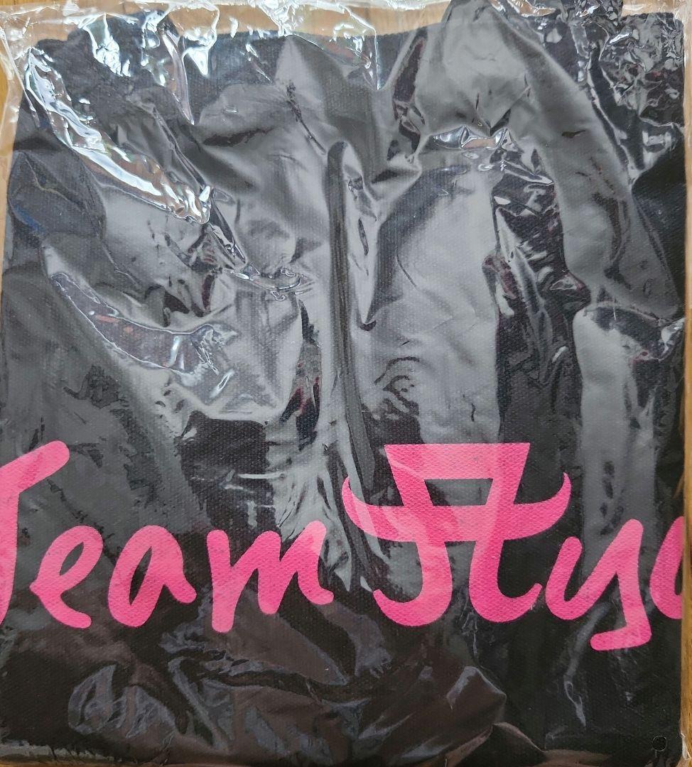 浜崎あゆみ　a-nation Team ayu トートバッグ　会場当選品