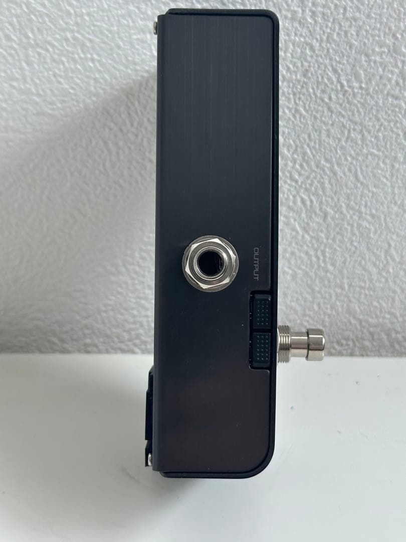 peterson STROBO STOMP HD チューナー