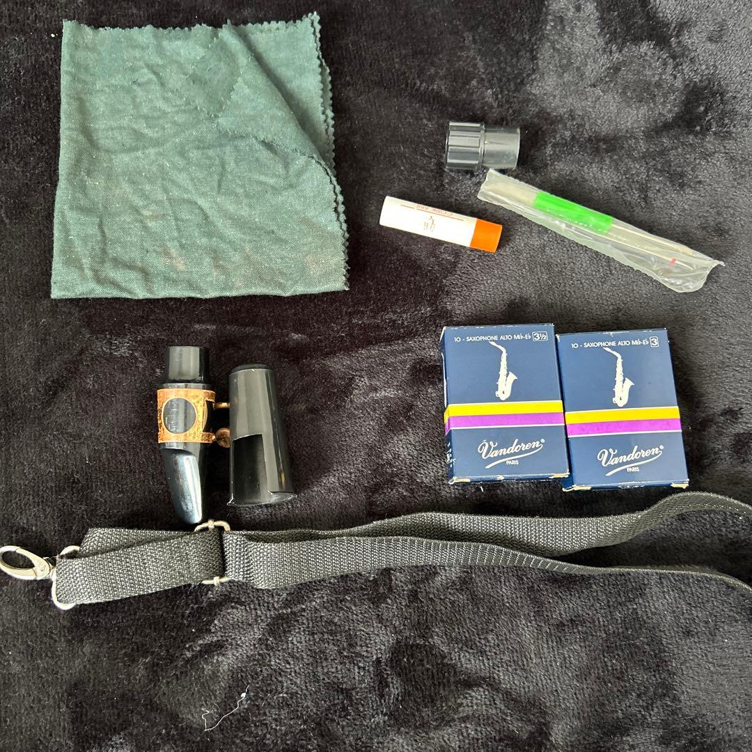 Kaerntner ケルントナー アルトサックス ケース付き