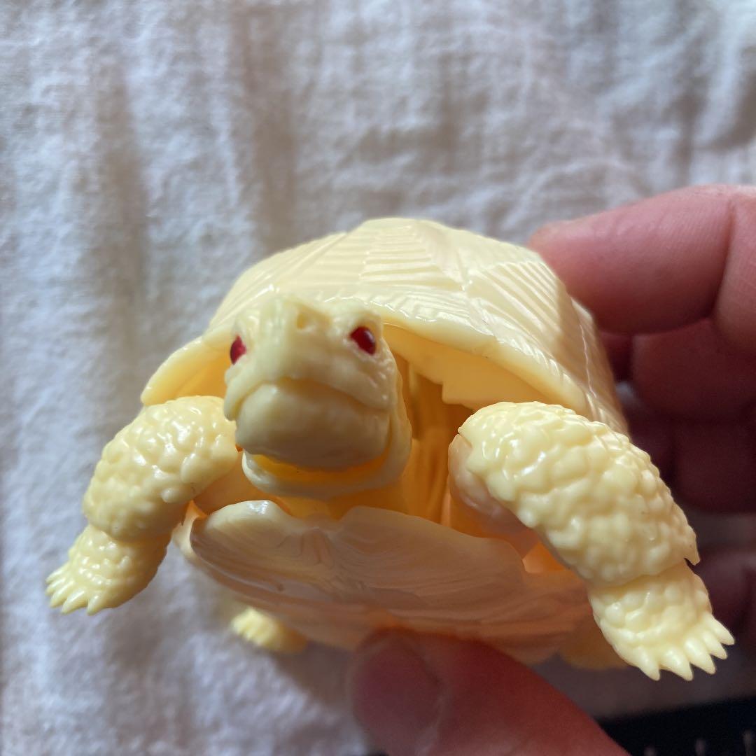 亀　フィギュア　ガチャ　バンダイ　ミルキーカラー　赤目