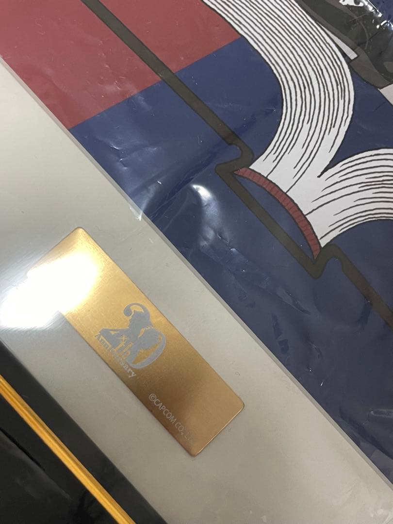 【逆転裁判20周年記念】「中村佑介」氏　額装