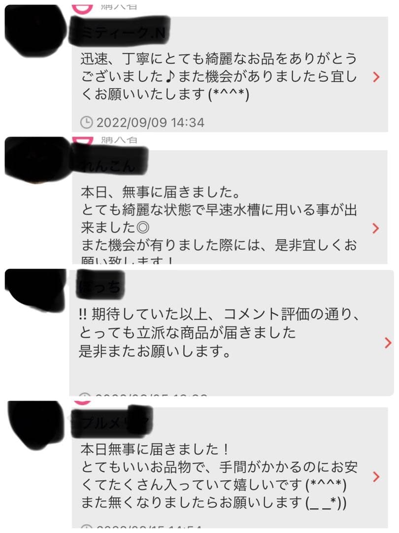 沖縄県やんばる産マジックリーフ 1kg UV殺菌灯照射済み⑥
