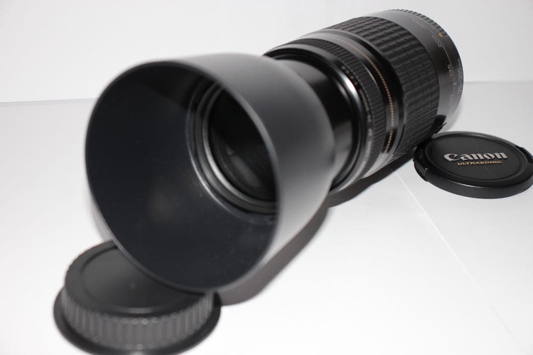 人気の300mm☆超望遠レンズ☆CANON EF 75-300mm F4-5.6