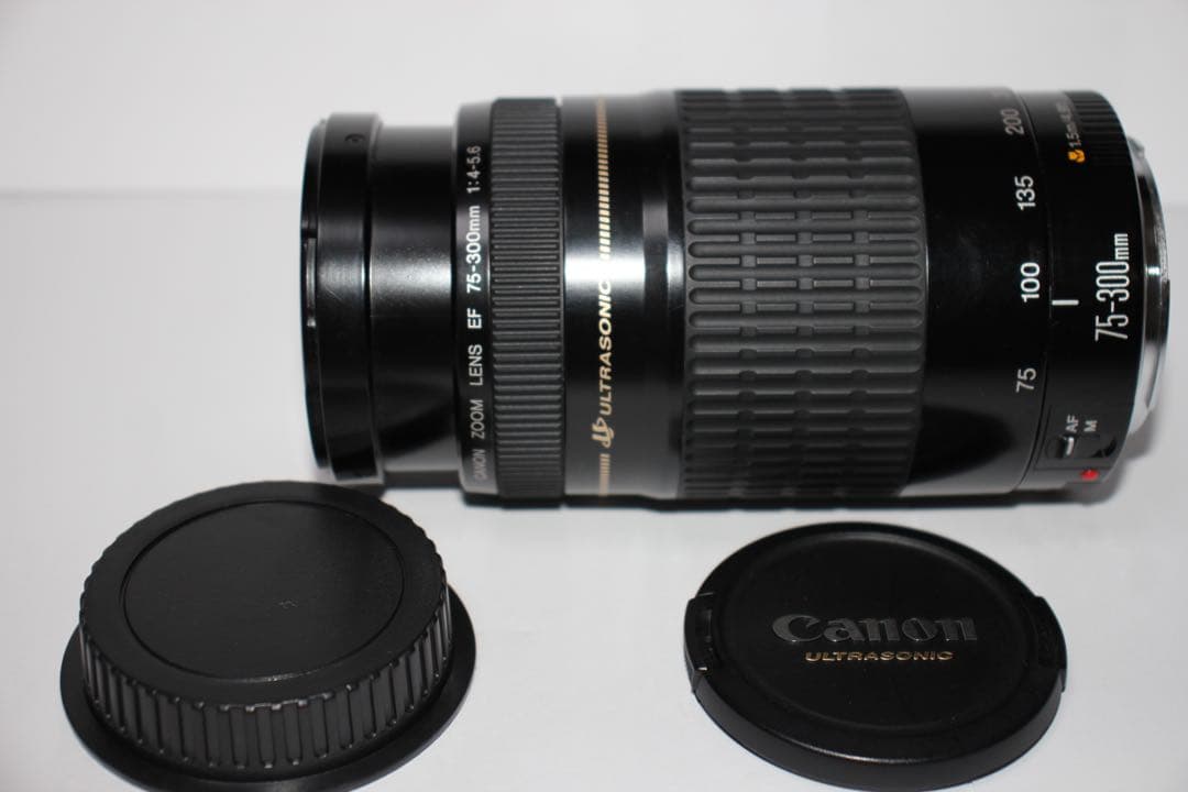 人気の300mm☆超望遠レンズ☆CANON EF 75-300mm F4-5.6