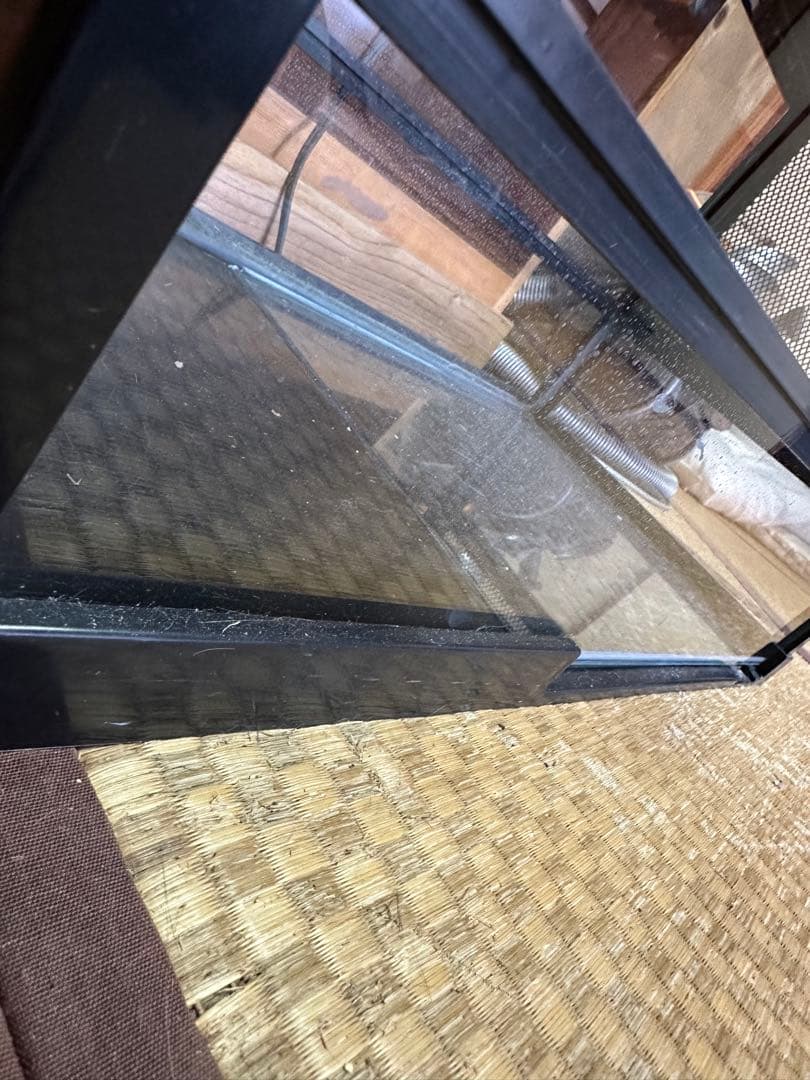 みどり商会 ケースバイケース レオパセット 発送不可