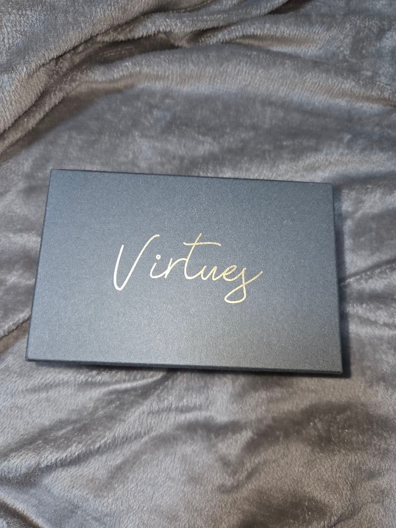 ギター Virtues Signe