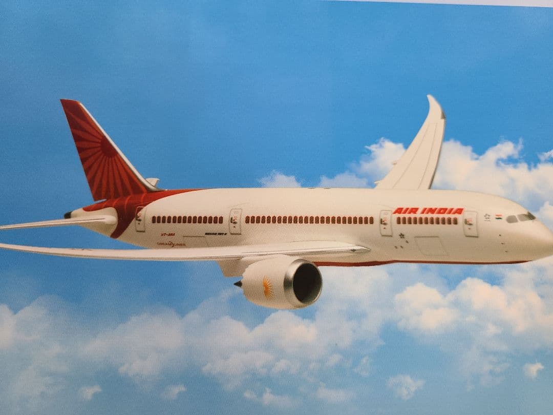 B787-8 エアインディア 飛行姿勢 (スタンド付属) 希少