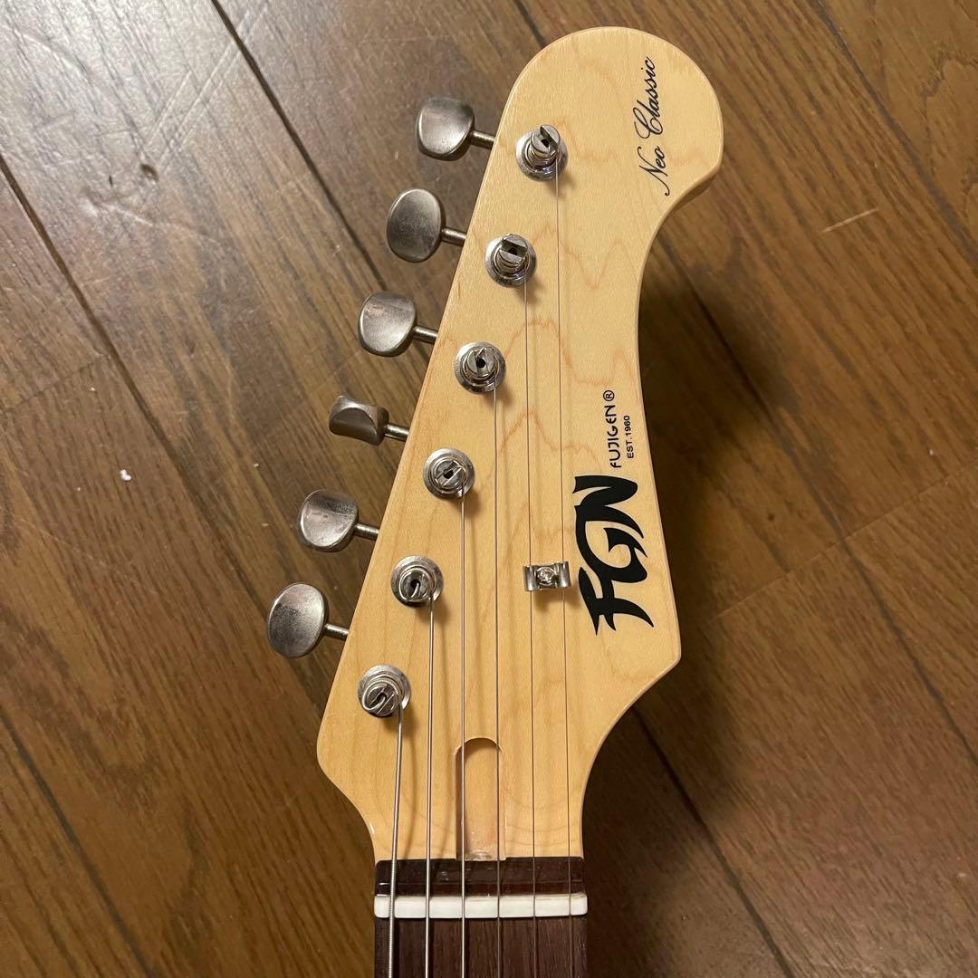 FGN(fujigen) NTE10RAL-CC/01【限定カラー】