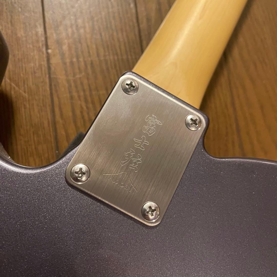 FGN(fujigen) NTE10RAL-CC/01【限定カラー】