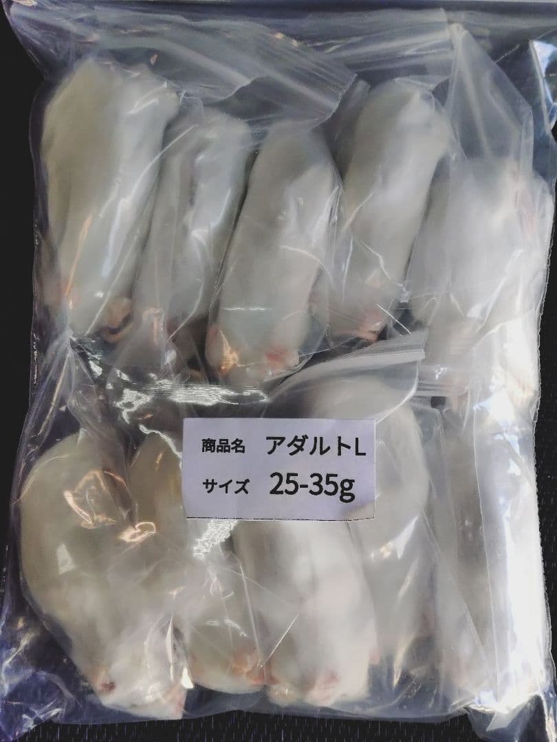 送料無料 冷凍マウスアダルトM50匹　アダルトＬ50匹