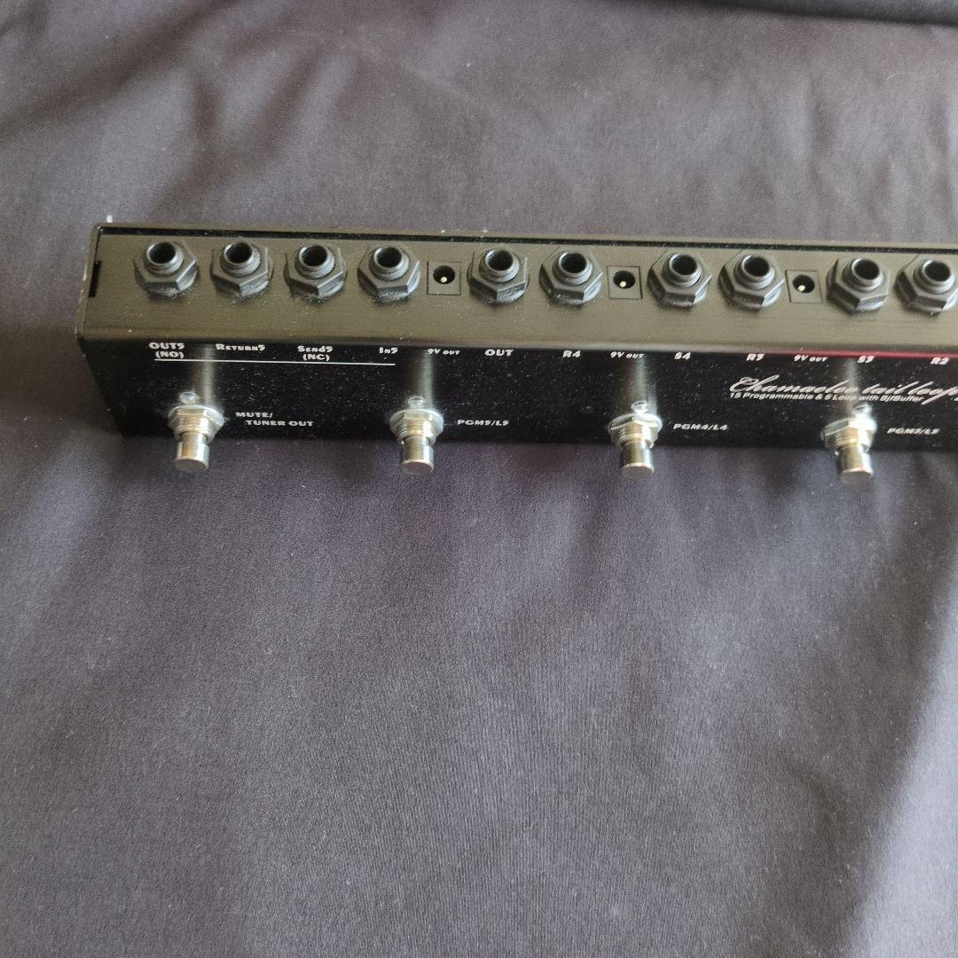 ギター One Control Chamaeleo Tail Loop MKII