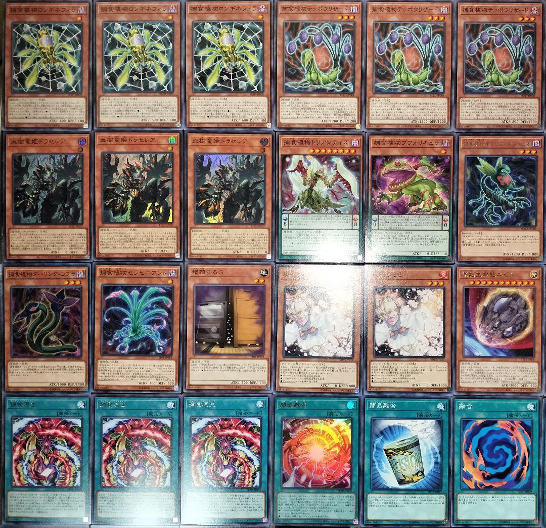遊戯王デッキ　捕食植物デッキ　ガチ構築　プレデタープランツ