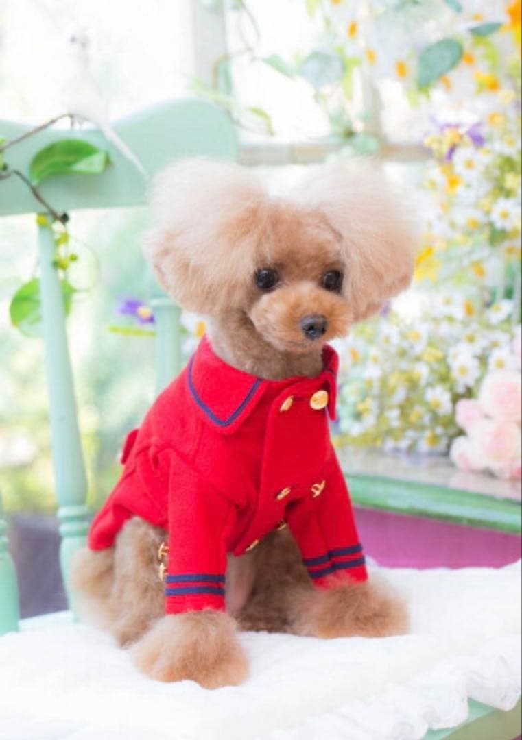 新品タグ付♡ ブルブブbulbubu♡ピーコート♡レッドXS