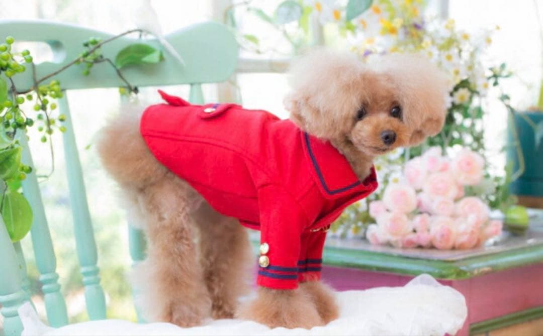 新品タグ付♡ ブルブブbulbubu♡ピーコート♡レッドXS