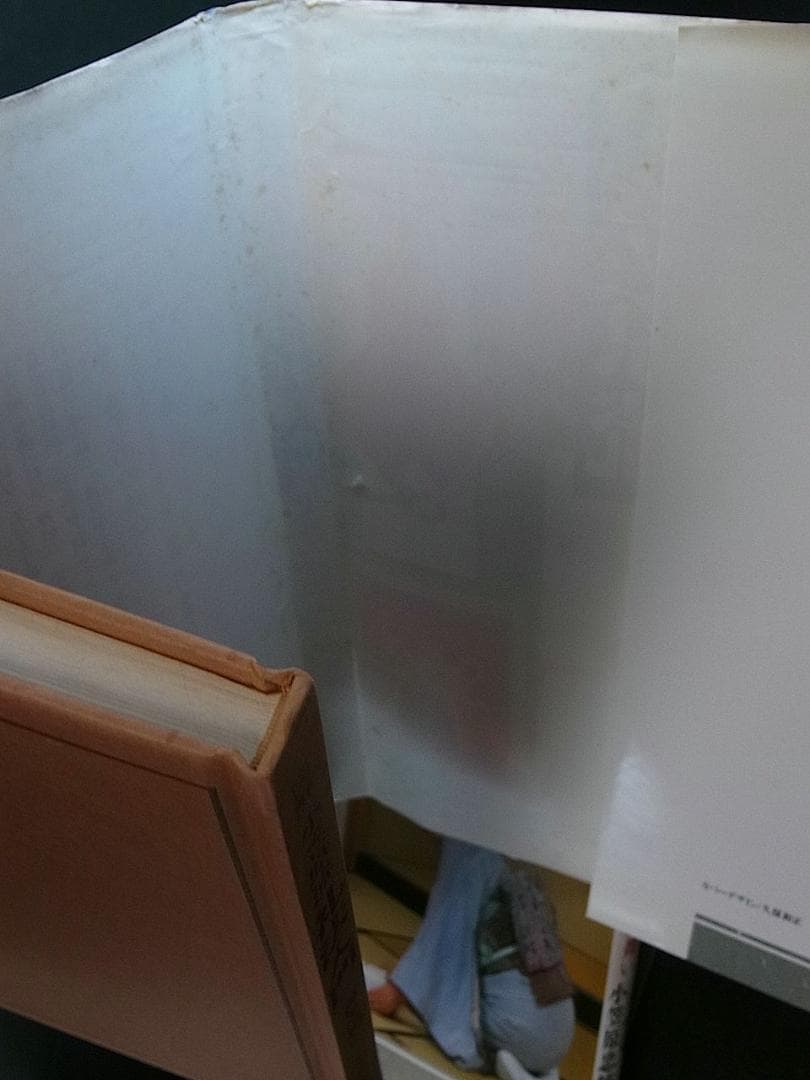 小笠原忠統 図解 小笠原流礼法入門 上・下 揃