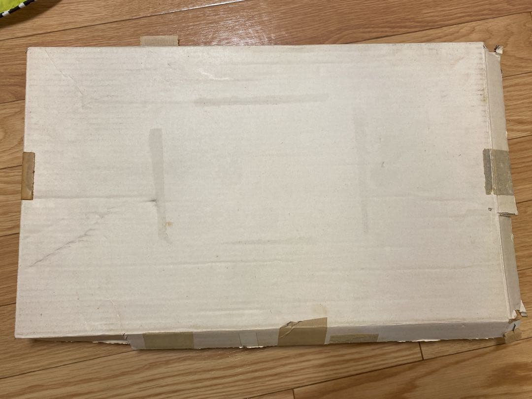 ディズニーランド　トゥーンタウン　オープン記念　パスポート