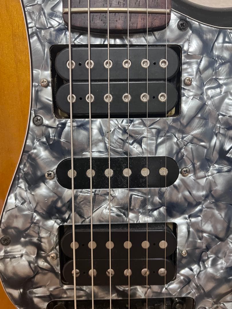 希少Edwards by ESP DAITAモデル　PickUpカスタム