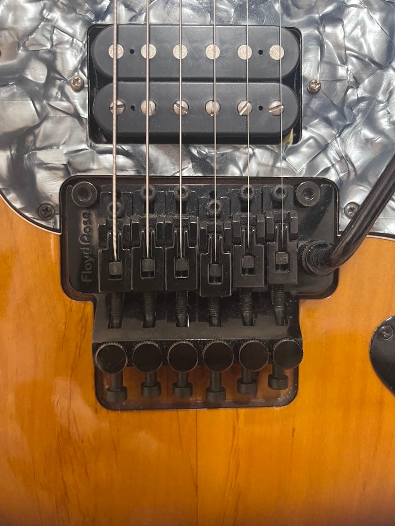 希少Edwards by ESP DAITAモデル　PickUpカスタム