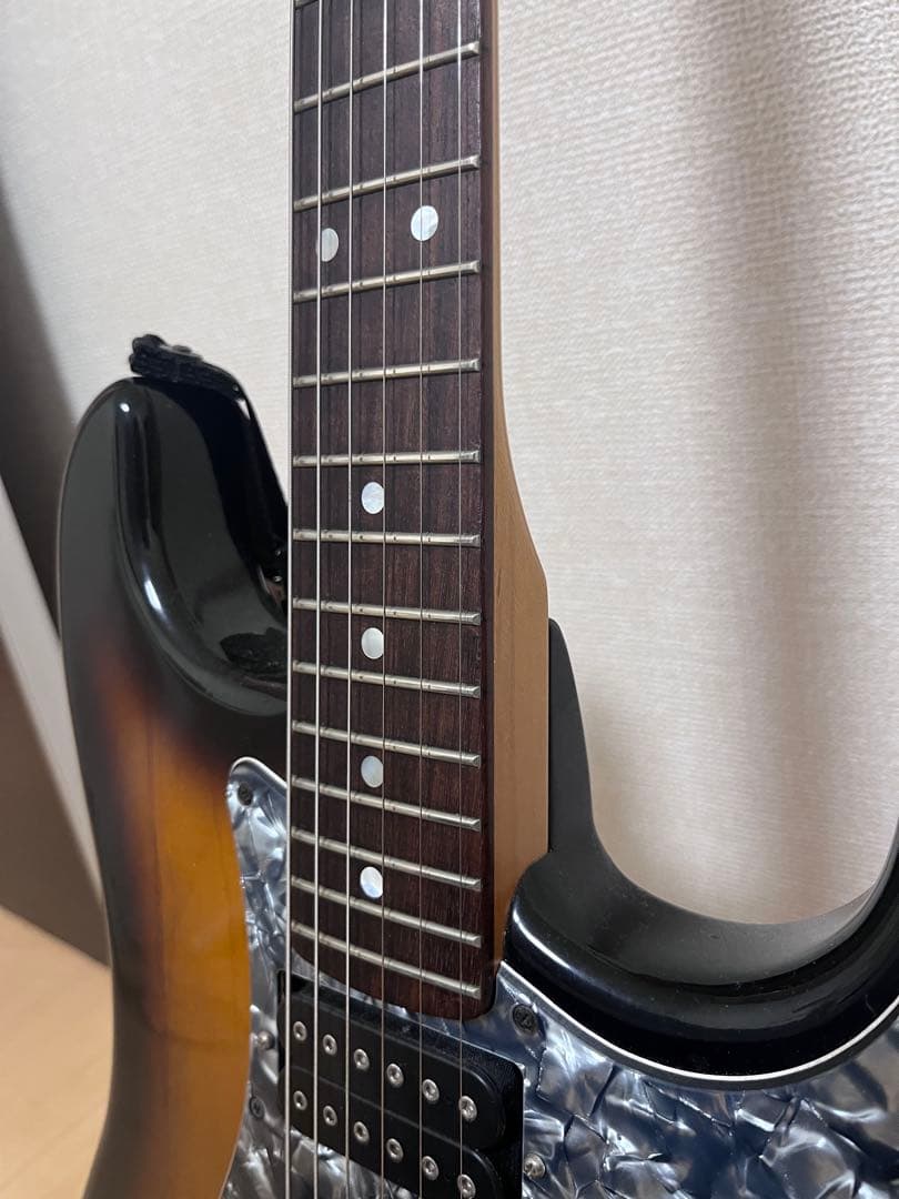 希少Edwards by ESP DAITAモデル　PickUpカスタム