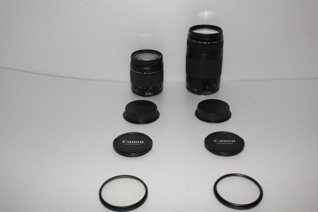 デジタル一眼レフカメラCanon EOS 80D 標準&望遠ダブルレンズセット