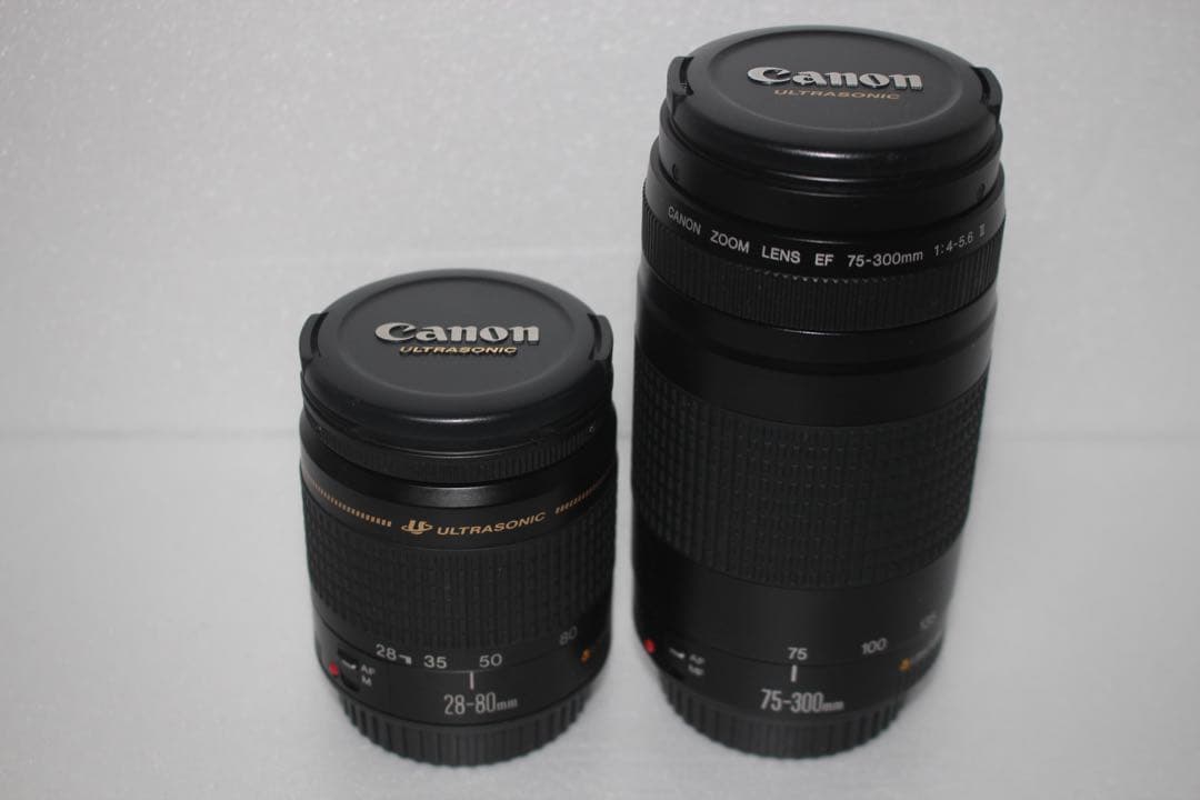 デジタル一眼レフカメラCanon EOS 80D 標準&望遠ダブルレンズセット