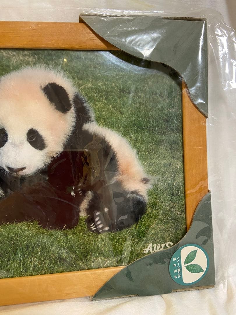 【非売品】アドベンチャーワールド　双子パンダ DVD 写真 A4フレーム レア