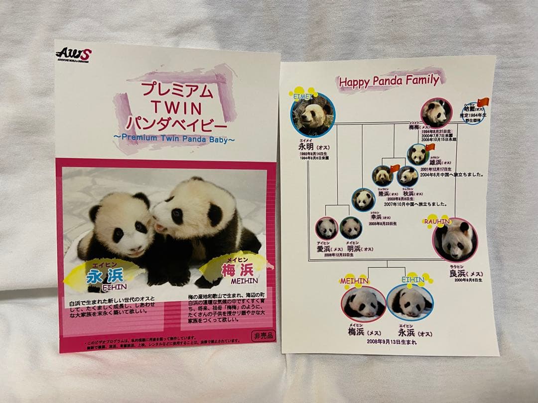 【非売品】アドベンチャーワールド　双子パンダ DVD 写真 A4フレーム レア