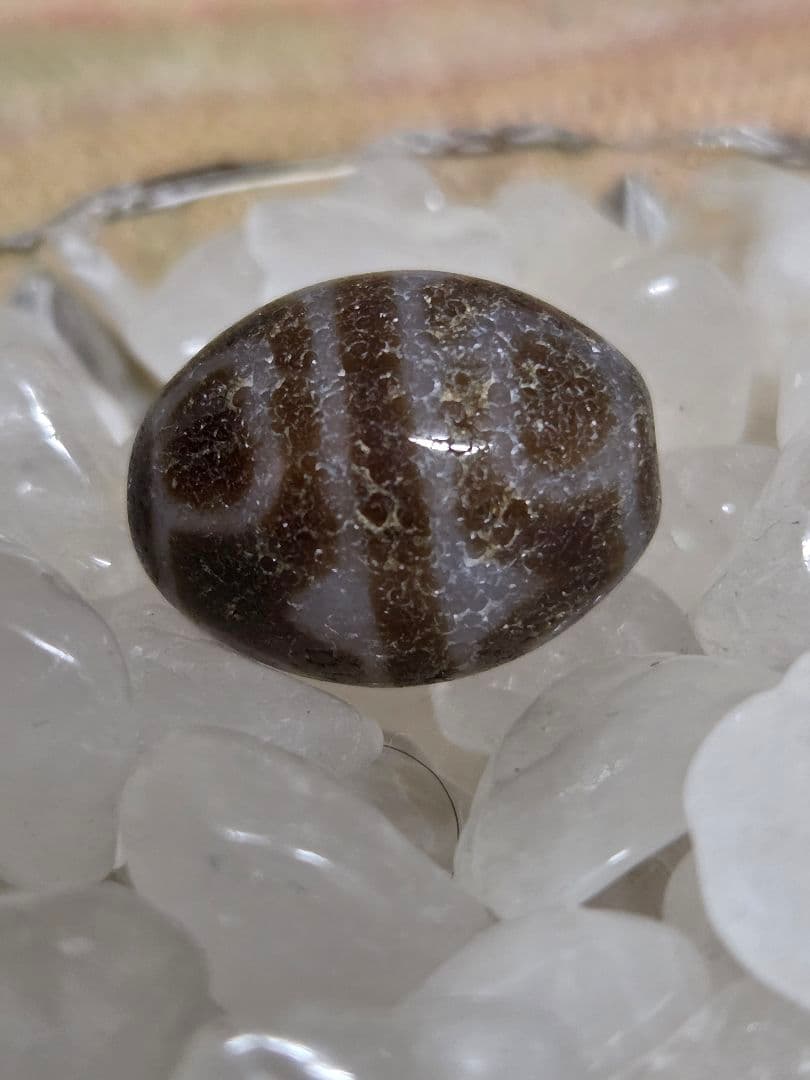 052　天珠　楕円形　虎牙蓮花天珠　dzibeads！