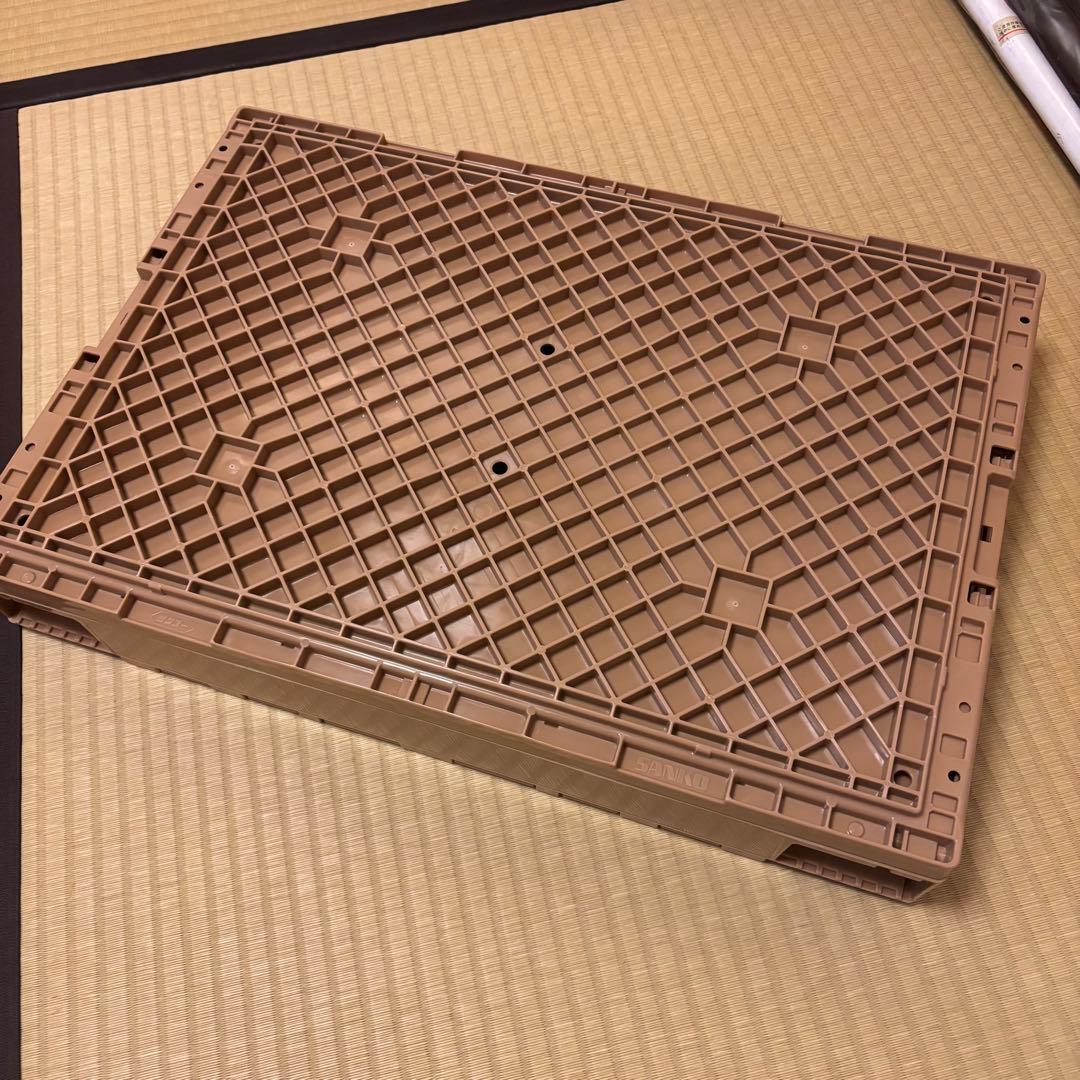 マキシマムザホルモン折りたたみコンテナボックス津田製麺所