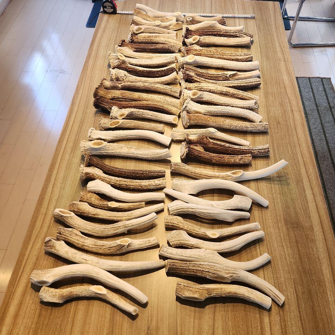 鹿の角 (特大～大サイズ)犬用おもちゃ ランダム　2kg　およそ4本～8本