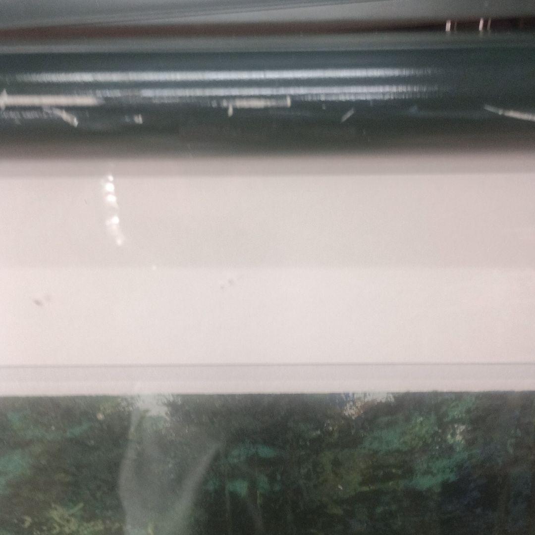 4560）マークキング　リトグラフまたはシルクスクリーン「アプローチ」額装