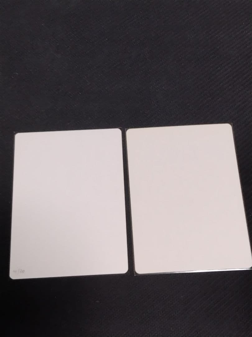 MTG Despark & Bitterblossom サイン入りAP