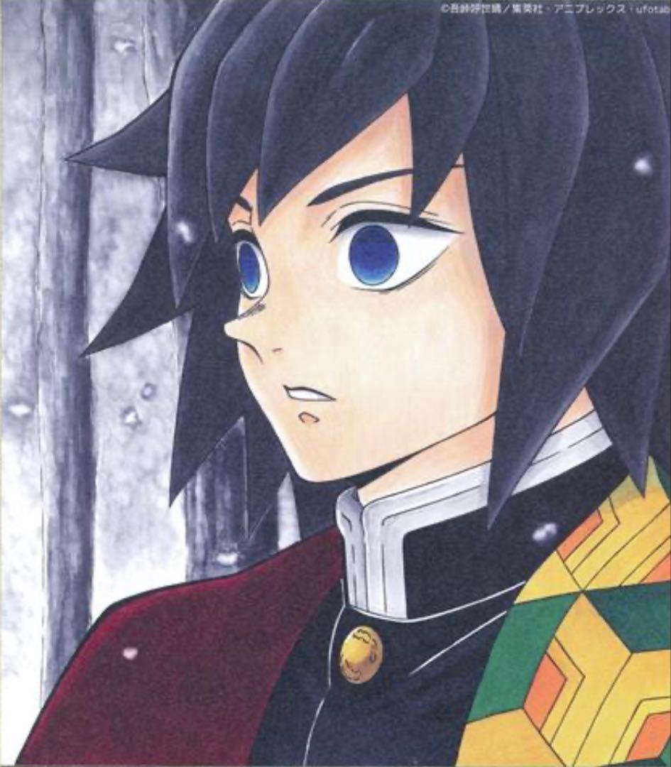 鬼滅の刃　複製ミニ色紙　義勇　しのぶ　カナヲ　カナエ　6枚