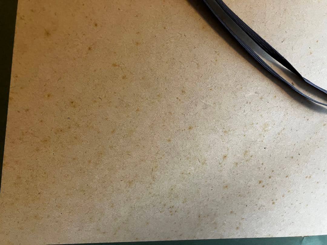 レイモン・サヴィニャック 4匹の犬 フランスOVIL製プリント 復刻板 ポスター