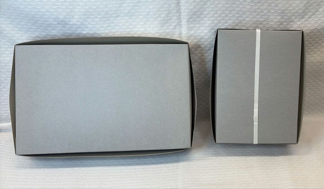 【初回限定版】HG ガンダムバルバトスルプス & フィギュアライズバスト 三日月