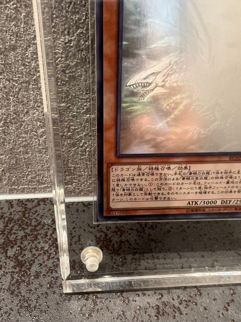 遊戯王OCG 灰流うらら20th & ブルーアイズオルタナティブホワイトドラゴン